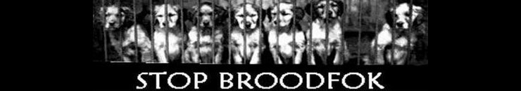 broodfok