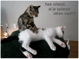 pijn